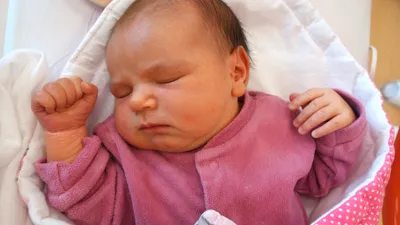 Tereza